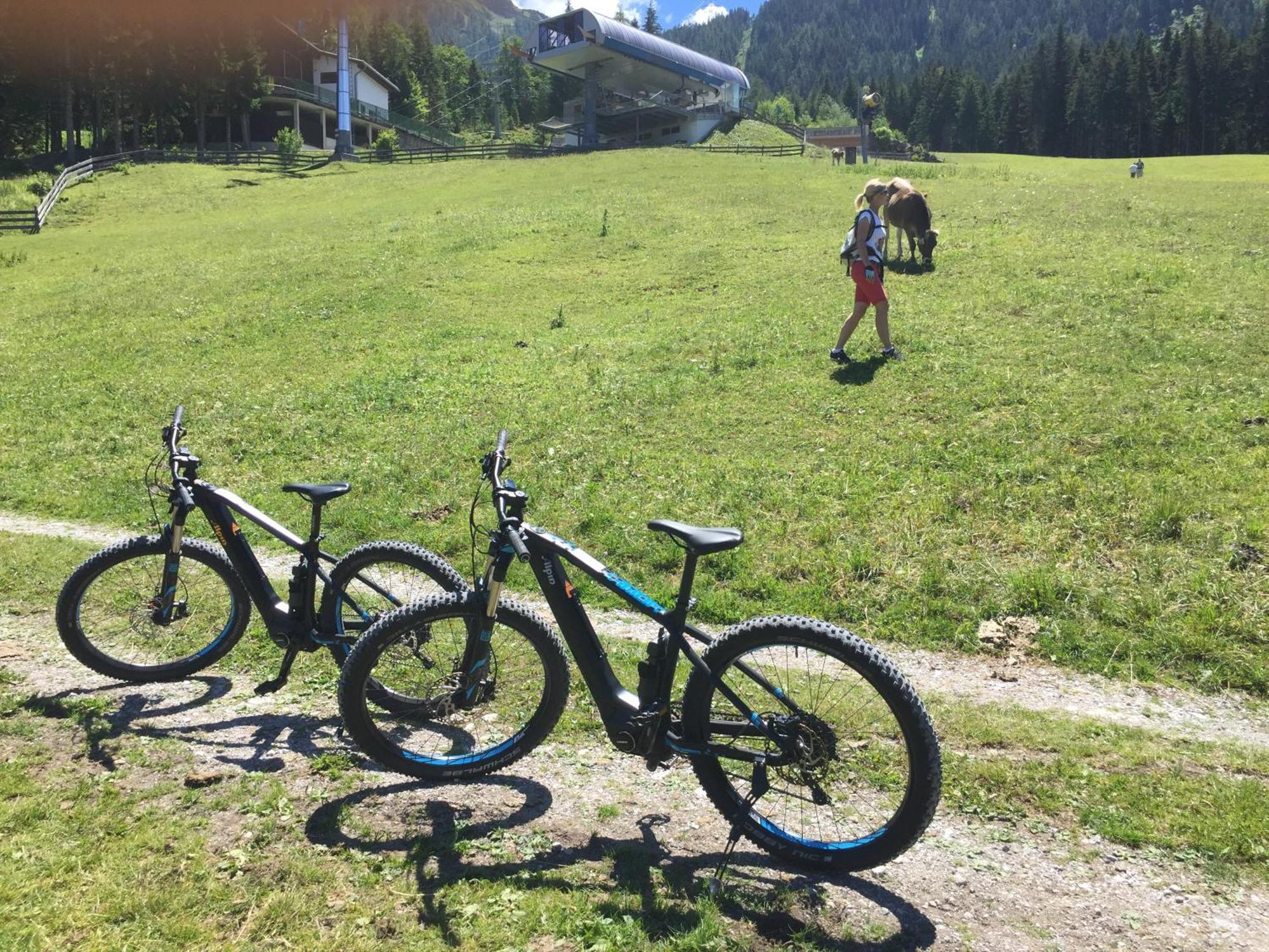 Alpin Hotel Ehrwald