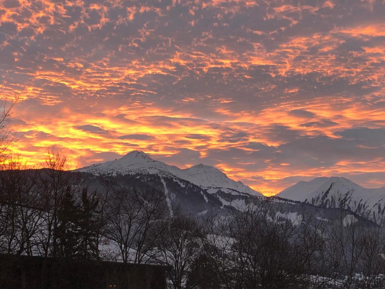 Alpin Hotel Ehrwald